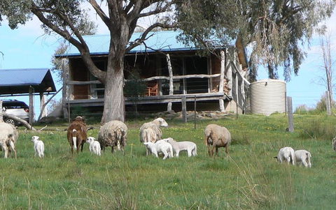 Gaddleen Grove Cottages - Accommodation Melbourne 0