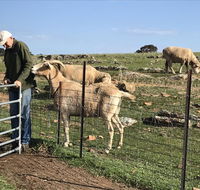 Gilgraves Vineyard Farmstay - Accommodation Melbourne