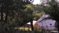 Book Zeehan Accommodation Vacations Accommodation Melbourne Accommodation Melbourne