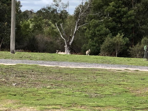 Grampians Old Man Emu Stay - Accommodation Melbourne 3