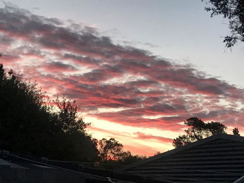 Guinevere - Accommodation Melbourne 2