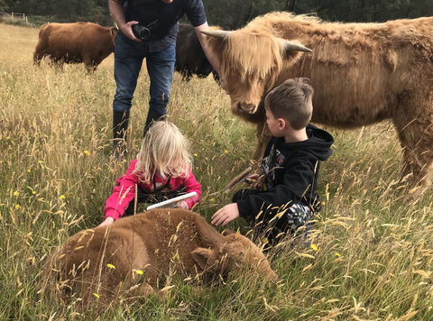 Highland Getaway - Accommodation Melbourne 3