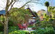 Hills End Camellia - thumb 0