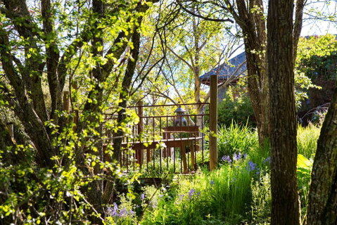 Hills End Camellia - Accommodation Melbourne 3