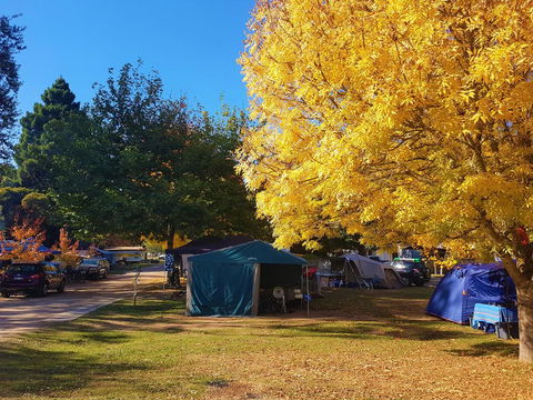 Jamieson Caravan Park - Accommodation Melbourne 2