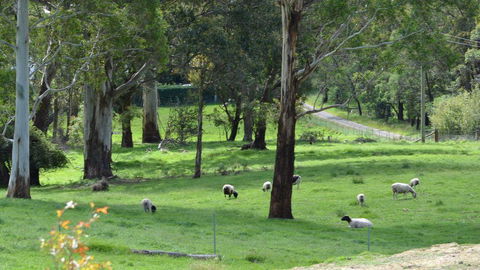 JAN'S ART STUDIO AT ASHBY RISE - Accommodation Melbourne 0