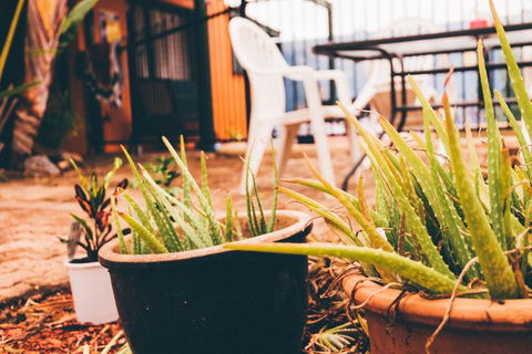 JJs Backpackers Hostel - Accommodation Melbourne 2