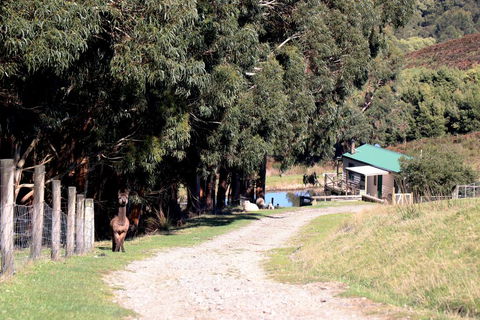 Johanna River Farm & Cottages - Accommodation Melbourne 1