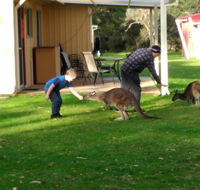 Kalgan River Chalets and Caravan Park - Accommodation Melbourne