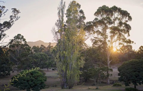 Karribank And The Karri On Bar - Accommodation Melbourne 0
