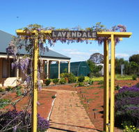 Lavendale Farmstay and Cottages York - Accommodation Melbourne