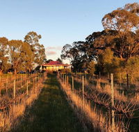 Lillicur Vineyard BB - Accommodation Melbourne