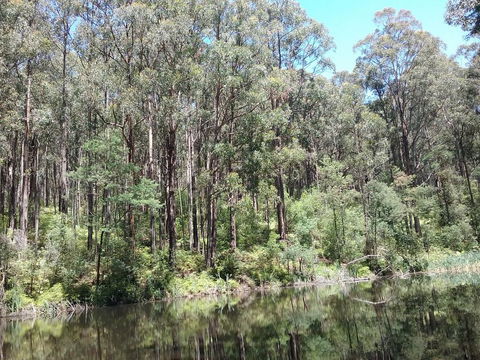 Lyrebird Gully Retreat - Accommodation Melbourne 2