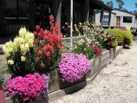 Mansfield Holiday Park - Accommodation Melbourne 3