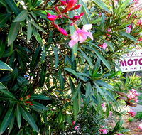 Mercury motor inn - Accommodation Melbourne