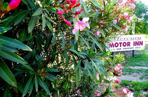 Mercury Motor Inn - Melbourne 4u 0