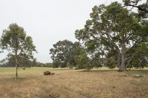 Metricup House - Elegant Country Retreat - Accommodation Melbourne 2