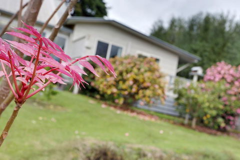 Montpellier Petite B+B - Accommodation Melbourne 1
