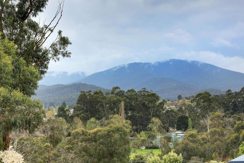Montpellier Petite B+B - Accommodation Melbourne 2
