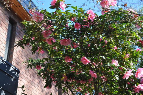 Mountain Gate Villa - Accommodation Melbourne 1