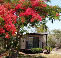 Mt Larcom Tourist Park - Accommodation Melbourne