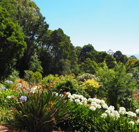 Murrindindi - Accommodation Melbourne