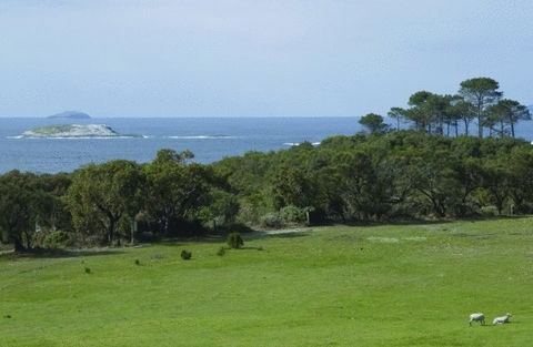 Cosy Corner Sea View Apartments - Accommodation Melbourne 7