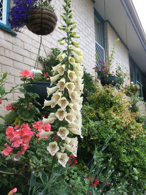 1849 Backpackers Albany - Accommodation Melbourne 32