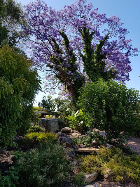 Jacaranda Hideaway Bed & Breakfast - Accommodation Melbourne 10