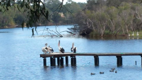 Jacaranda Hideaway Bed & Breakfast - Accommodation Melbourne 18