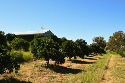 Swan Valley Sisters - Accommodation Melbourne 29
