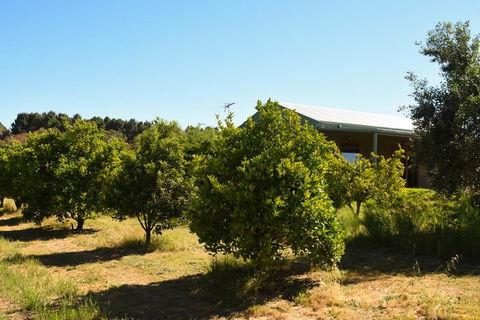 Swan Valley Sisters - Accommodation Melbourne 30