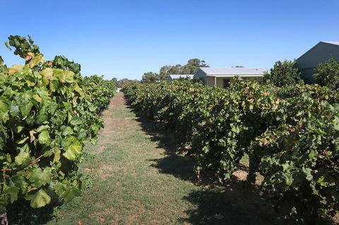 Swan Valley Sisters - Accommodation Melbourne 9