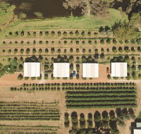 Swan Valley Sisters - Accommodation Melbourne