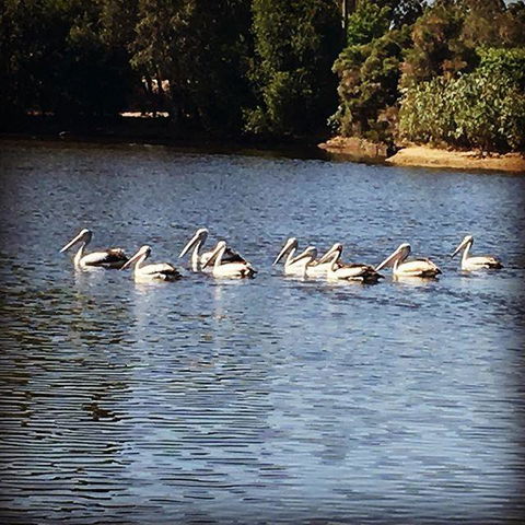 Swan Valley Sisters - Accommodation Melbourne 31
