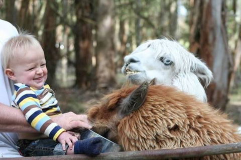 Margaret River Hideaway & Farmstay - Accommodation Melbourne 21