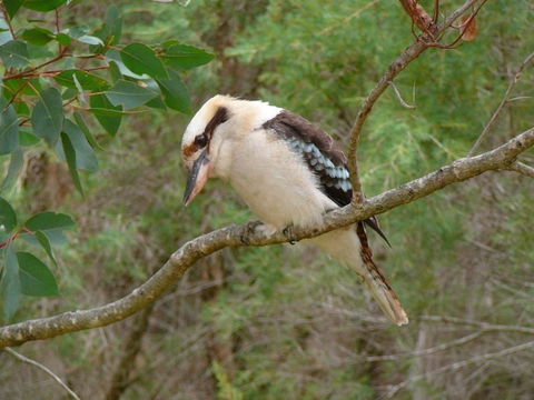 Margaret River Hideaway & Farmstay - Accommodation Melbourne 31
