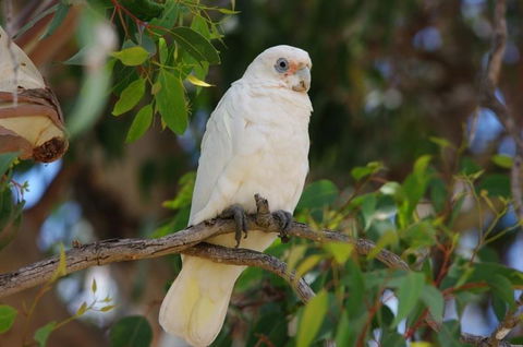 Margaret River Hideaway & Farmstay - Accommodation Melbourne 26