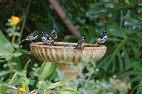 Margaret River Hideaway & Farmstay - Accommodation Melbourne 30