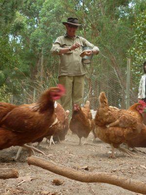 Margaret River Hideaway & Farmstay - Accommodation Melbourne 28