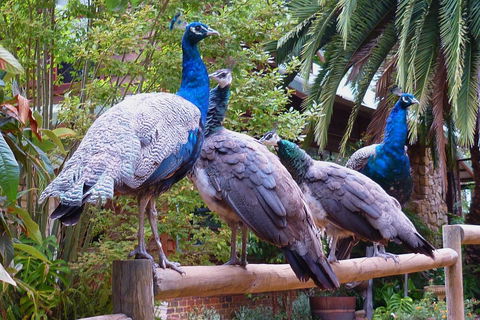 Margaret River Hideaway & Farmstay - Accommodation Melbourne 19