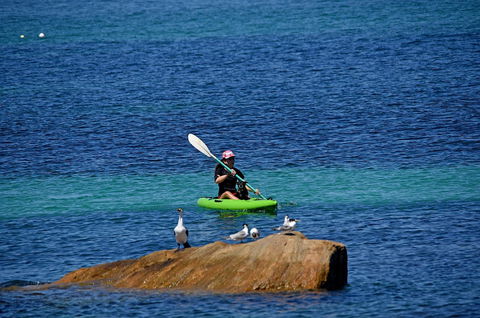 Sandpiper Retreat - Accommodation Melbourne 29
