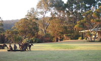 Book Walpole Accommodation Vacations Accommodation Melbourne Accommodation Melbourne