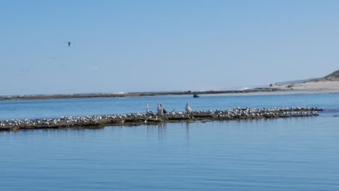Kalbarri Seaview Villas - Melbourne 4u 33