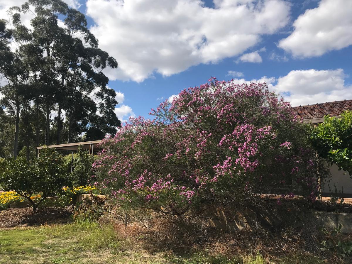  Accommodation Melbourne