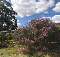 Cockburn Retreat Home  - Accommodation Melbourne