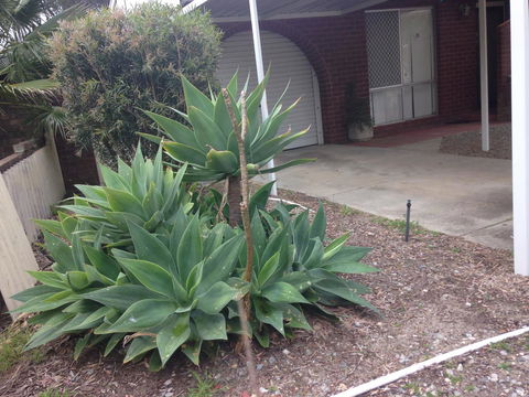 â˜… Stylish Family Home! â˜… - Accommodation Melbourne 2
