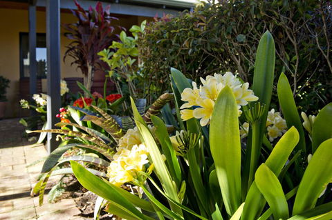 Vintages Accommodation - Accommodation Melbourne 19
