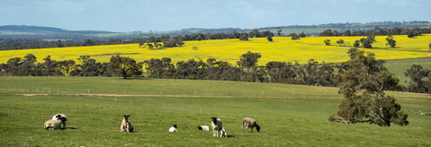 Kendenup Cottages And Lodge - Accommodation Melbourne 44