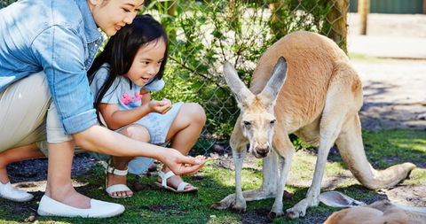 Banksia Tourist Park - Accommodation Melbourne 29